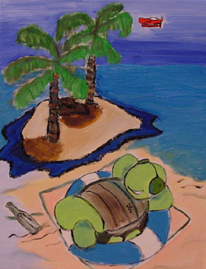 DSLturtle
